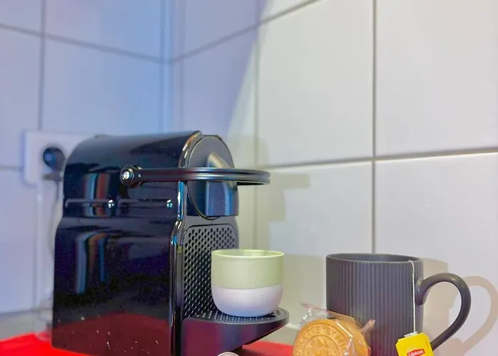 La Belle Breisach - Pop Et Arty - Near Colmar Volgelsheim